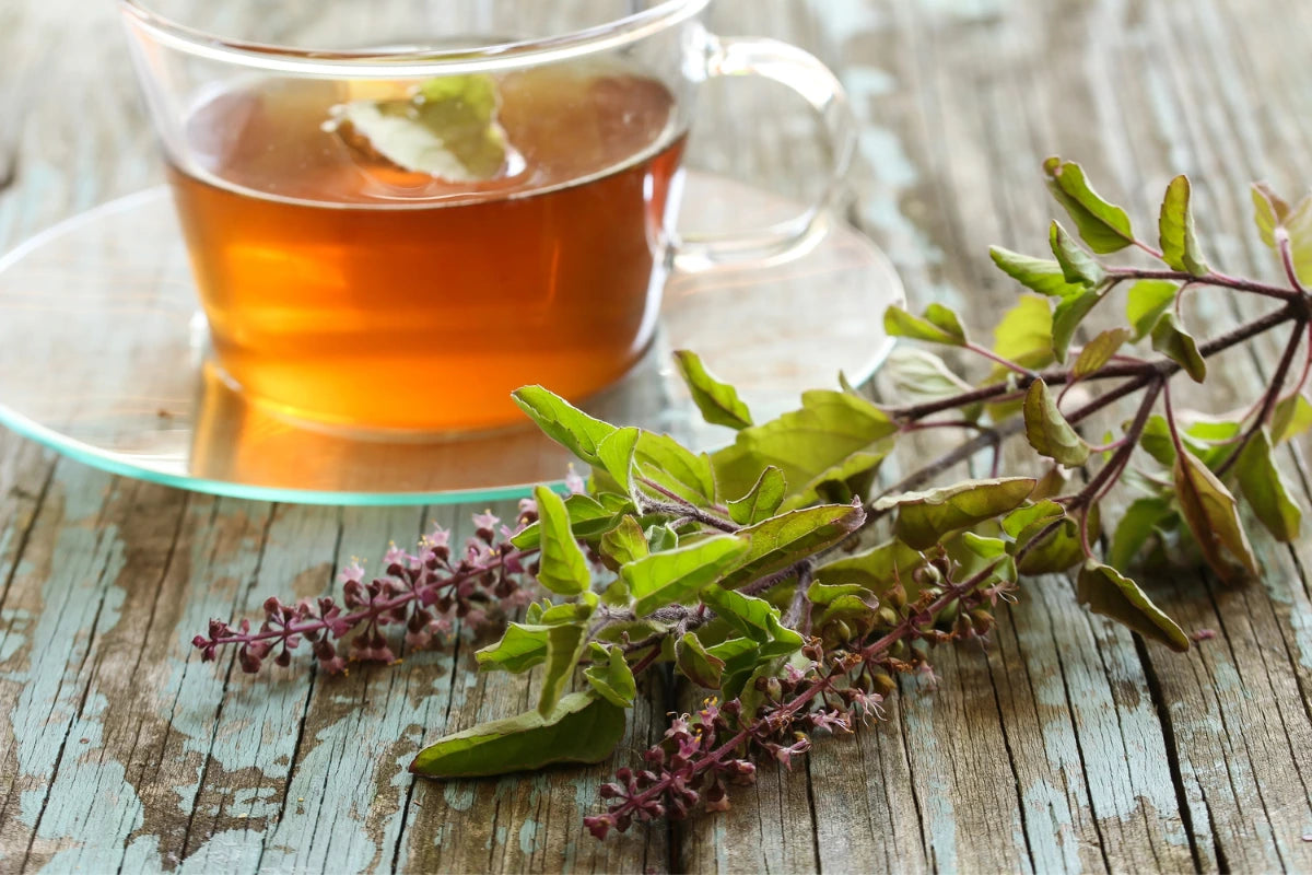 ALL ABOUT ORGANIC TEA & ITS BENEFITS