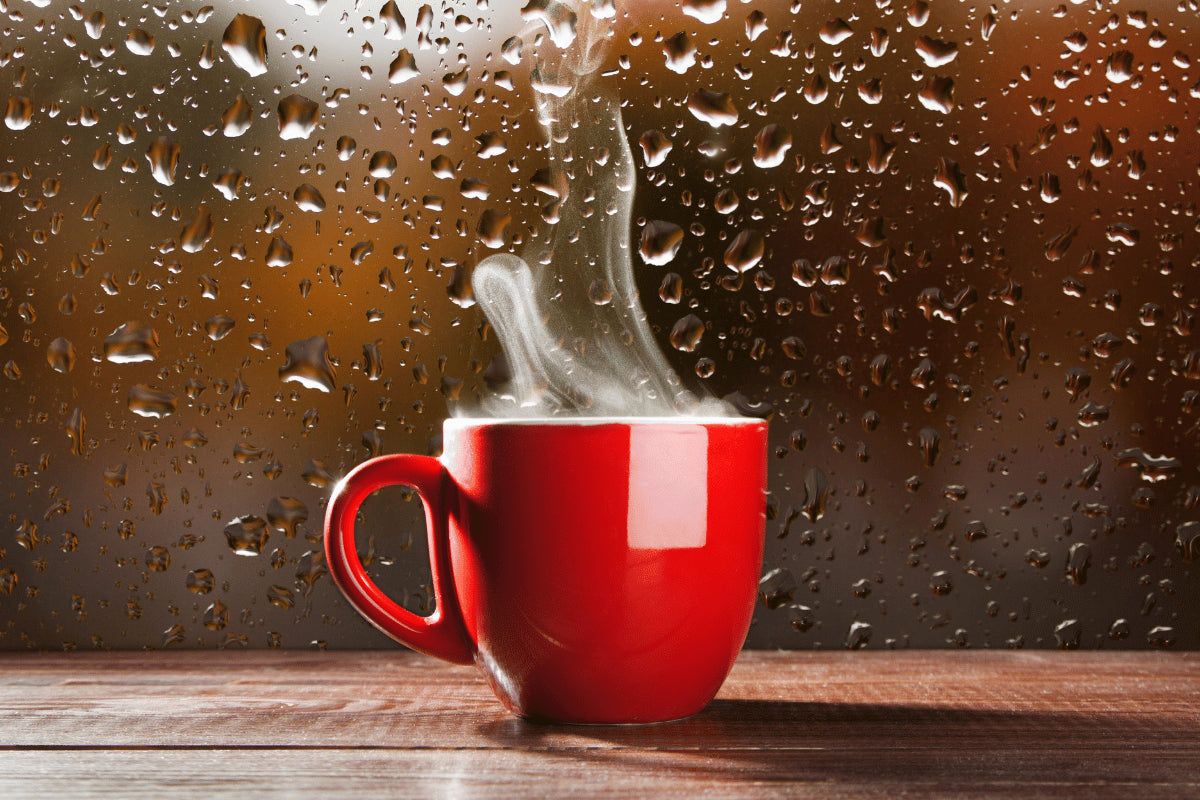 Monsoon Special: Discover 8 Nutrient-packed Teas for a Healthy You